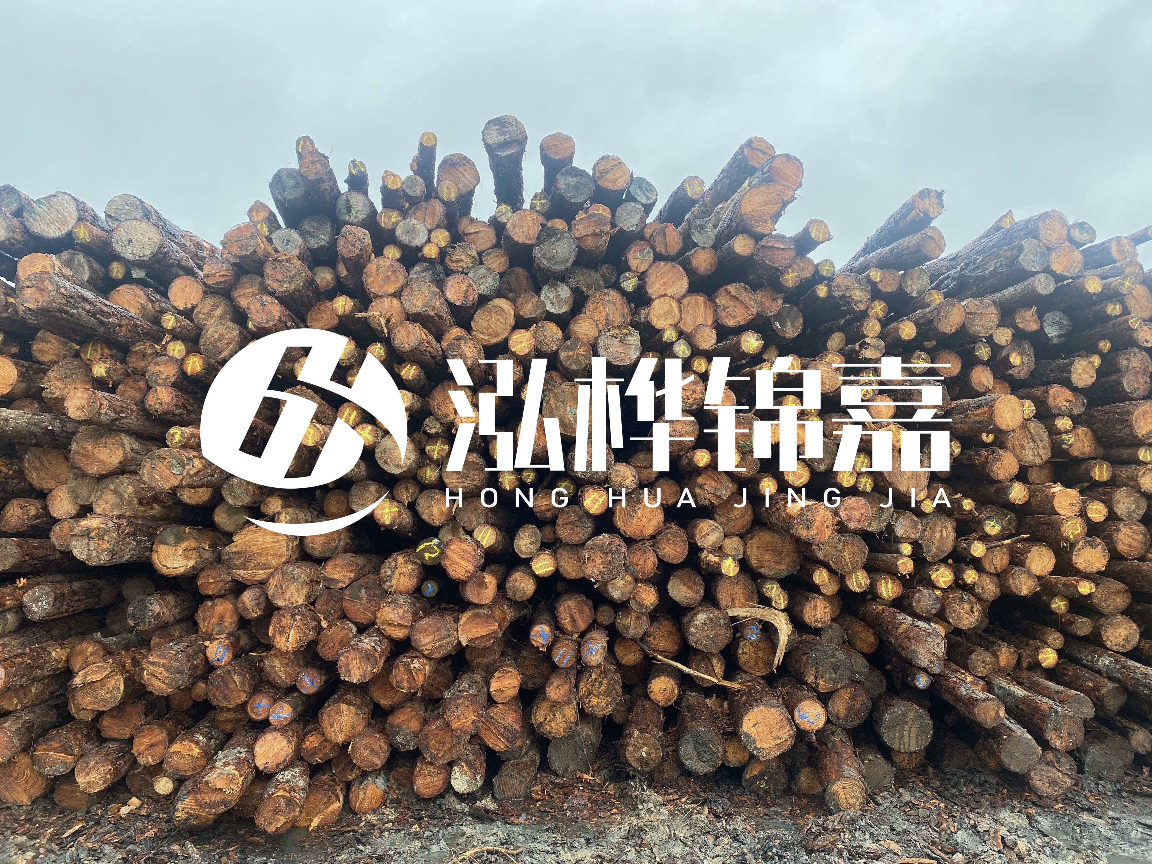 松木樁的直徑一般取多少？