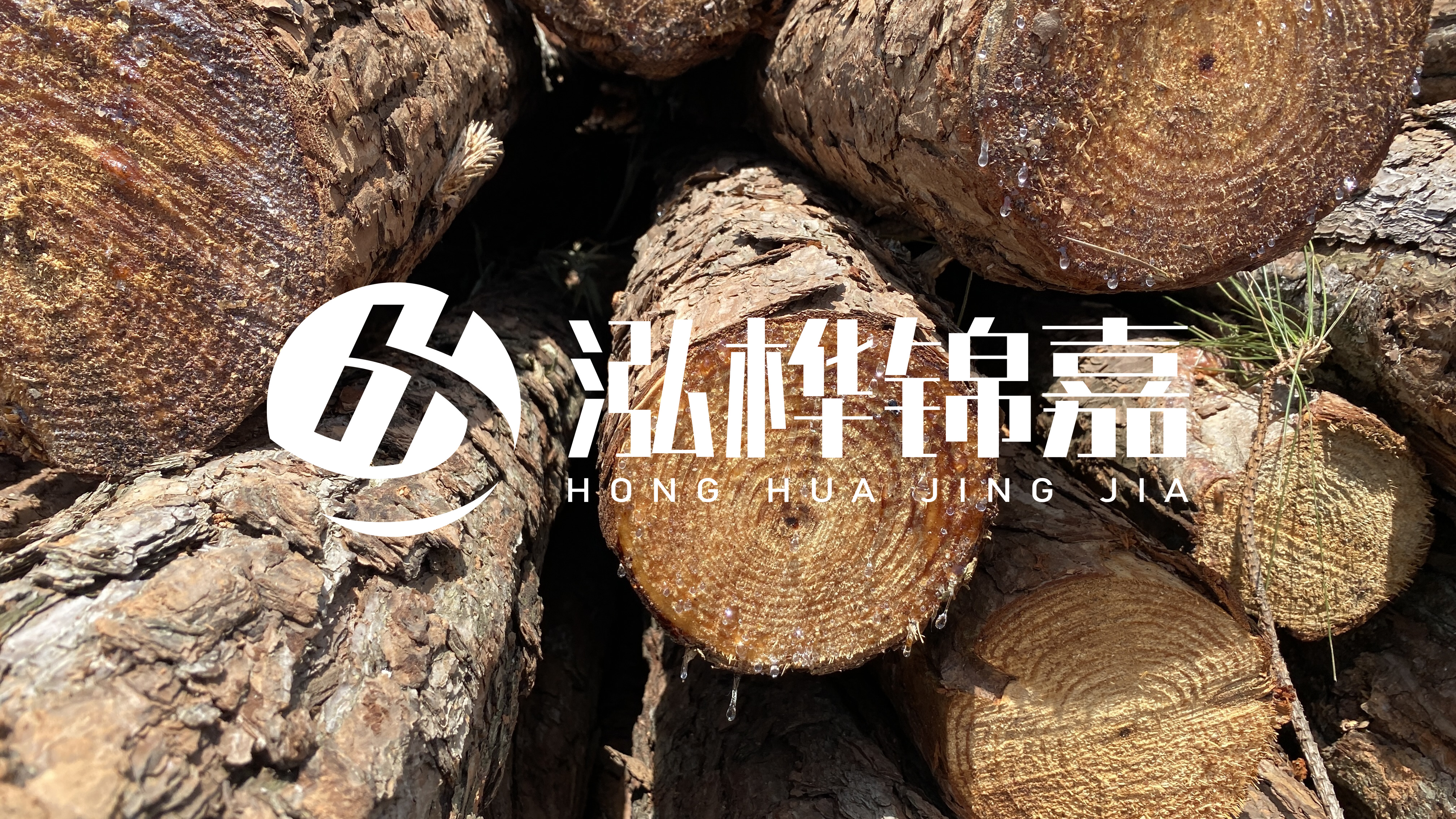 為什么要用松木樁治理河道？