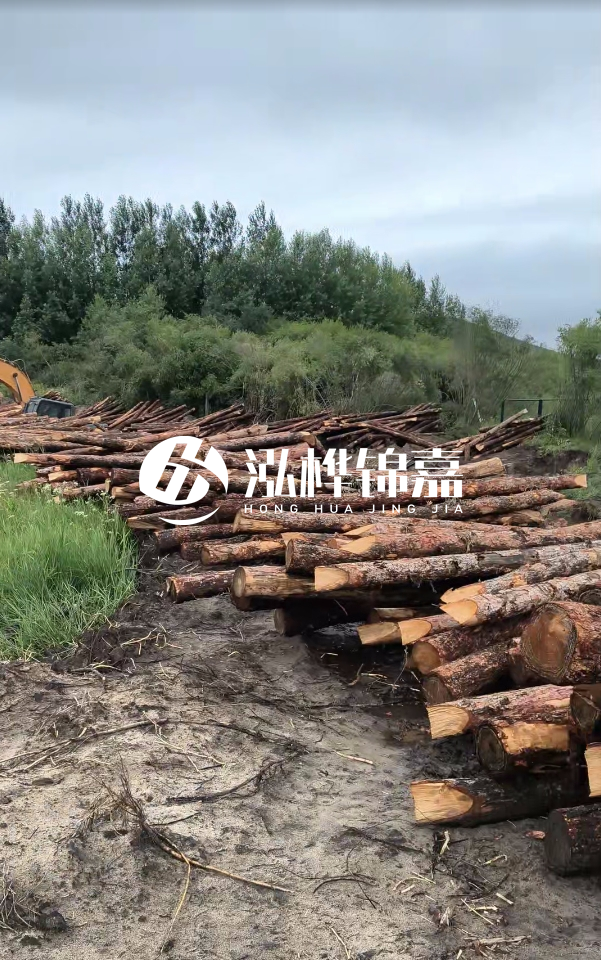甘肅河道清淤工程公司-為什么要進行河道清淤？