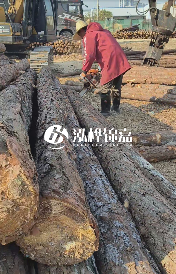 長沙打樁木批發(fā)廠家在哪里？聯(lián)系方式是什么？