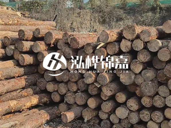 落葉松木材的主要產(chǎn)地在哪里？為什么比其他松木更耐腐蝕？