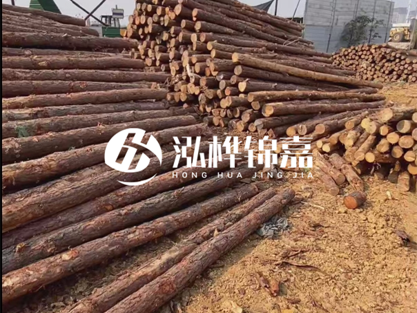 河道木樁施工遇到淤泥怎么辦？打多深才能防沖刷？
