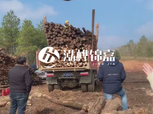 防腐木樁價(jià)格比普通木樁貴多少？防腐木樁有哪些處理方式？