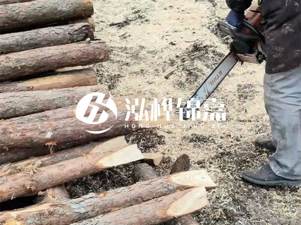 杉木樁批發(fā)廠家哪家好？產(chǎn)地直供渠道推薦！