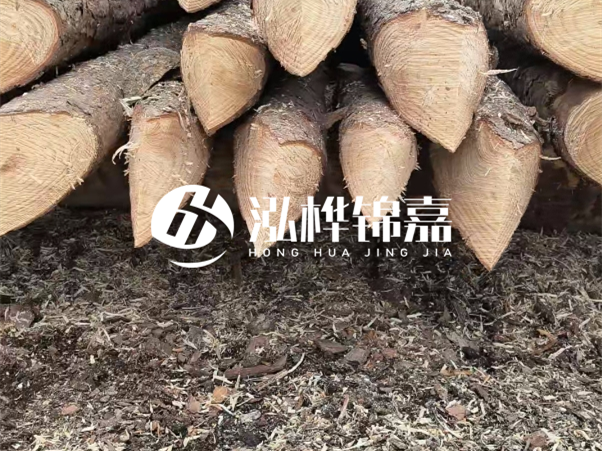 打樁木樁與鋼樁相比有哪些優(yōu)缺點(diǎn)？如何進(jìn)行后期維護(hù)？