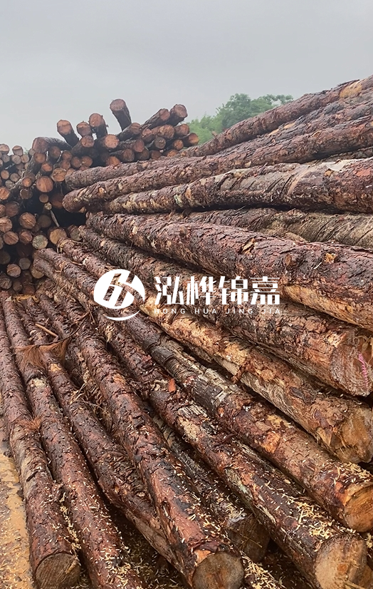 購買松木樁注意事項(xiàng)有哪些-不同直徑松木樁區(qū)別有哪些？