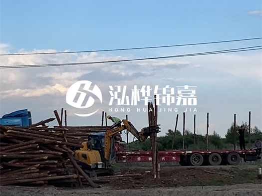河北打樁木源頭廠家泓樺錦嘉 - 北方常用打樁木是什么？