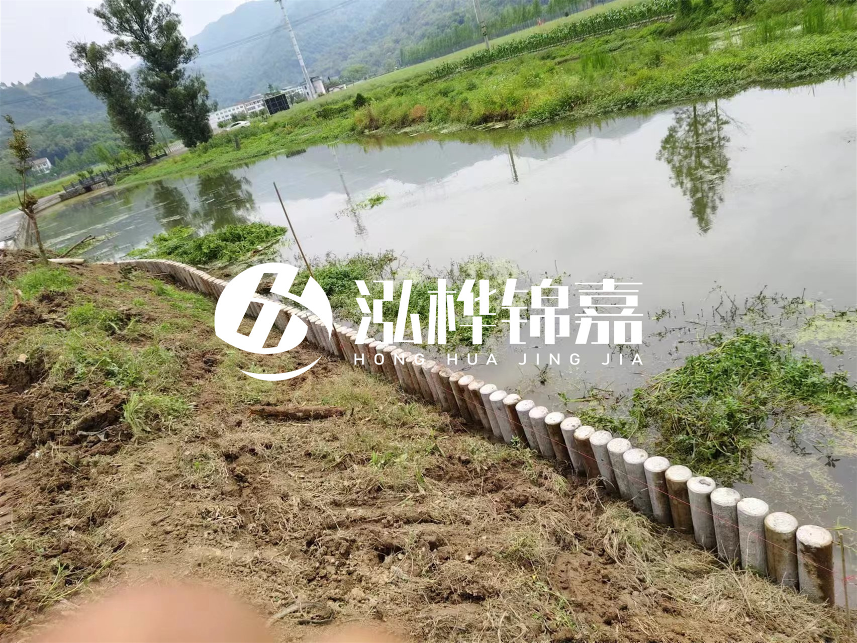 松木樁加固河道與水泥樁對(duì)比如何？哪一種更加適合您？
