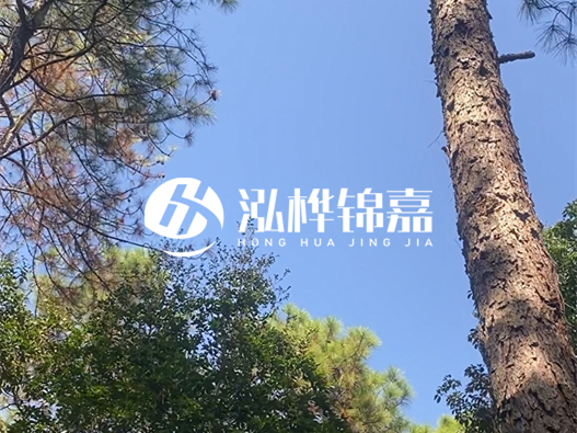 松木樁廠家泓樺錦嘉可以實(shí)地考察嗎？需要提前預(yù)約嗎？