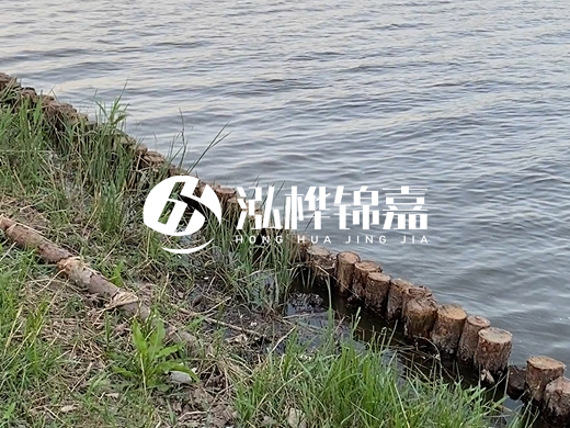 防洪松木樁施工重要性？河道打木樁的位置怎么確定？