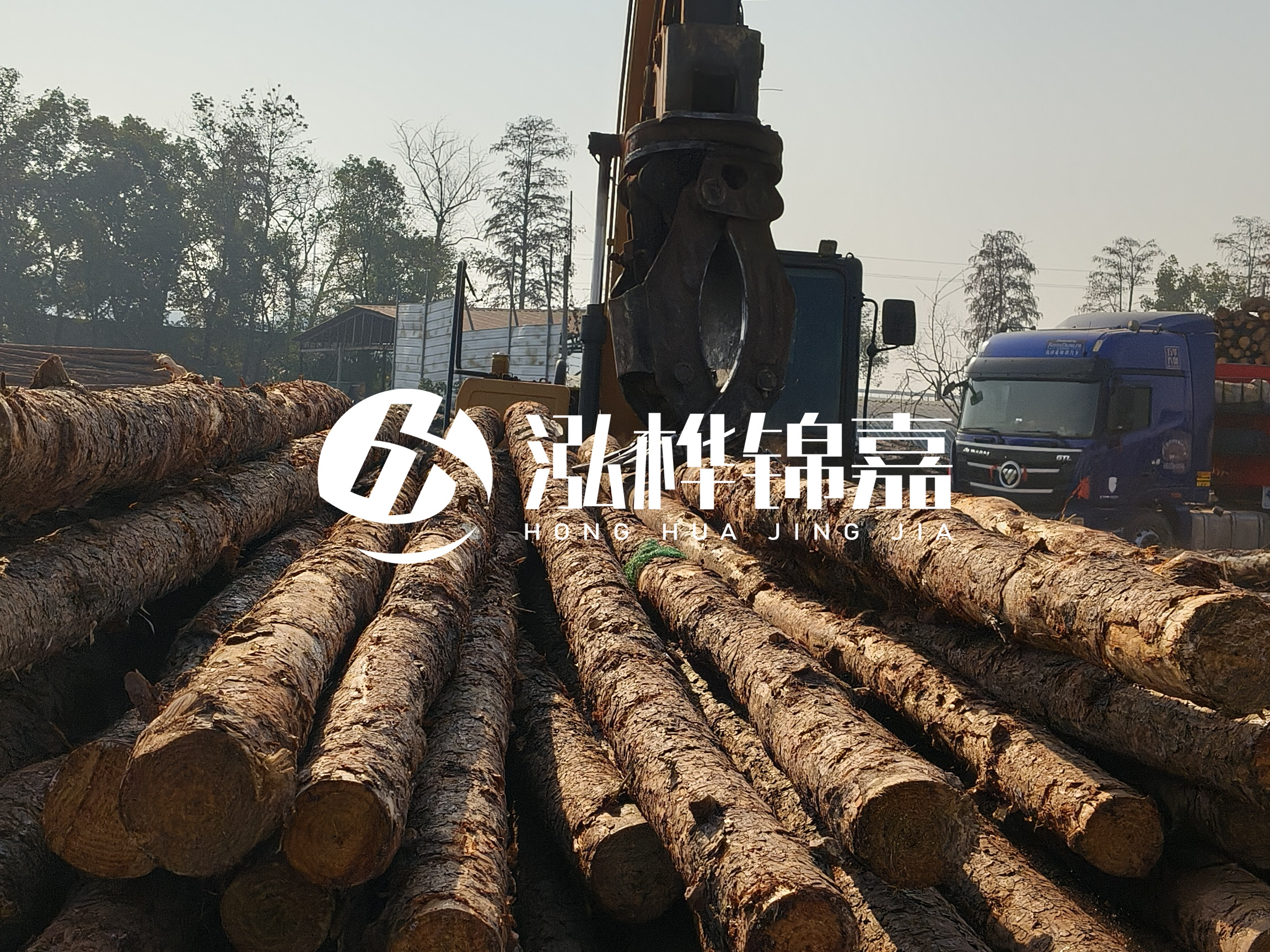 松木樁可以用來做什么？常用于哪些工程？