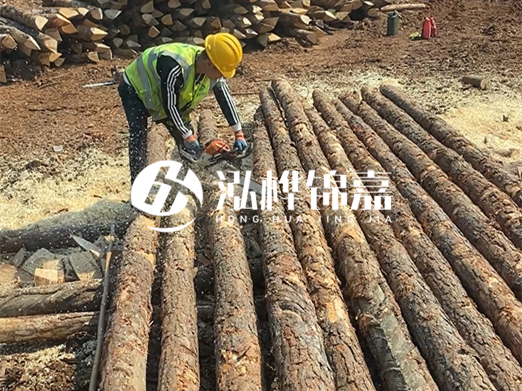 松木樁批發(fā)廠家泓樺錦嘉-河道打樁木施工中怎么防止樁頭被打壞？