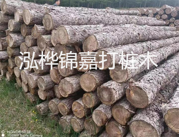 高效修補，保駕護航！水泥路面高強度修補料為您解決煩惱！