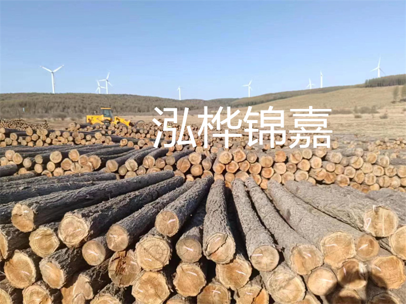 溫州松木樁施工廠家——為您打造堅(jiān)固穩(wěn)定的建筑基礎(chǔ)！
