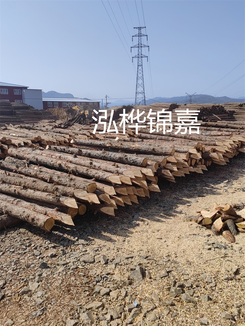 東莞市松木樁供應(yīng)商推薦——哪里有松木樁？